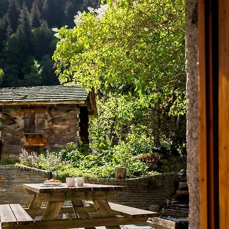 Traditional Mountain Valley * Chamonix